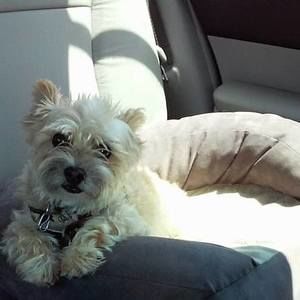 Meet your Posher, Paulette